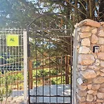 Open Space With Jacuzzi Lamego
